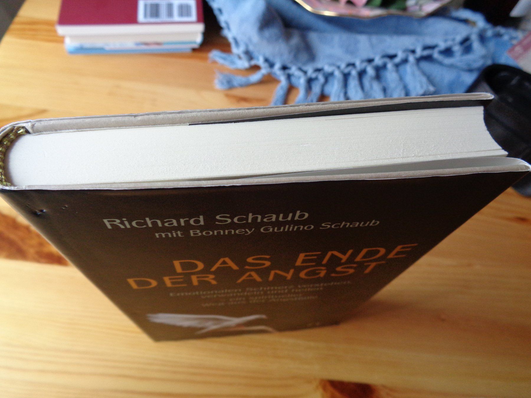 Libri: Das Ende der Angst. Richard Schaub – Usato da Wiesendangen venduto da Gullfoss 2