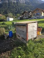 2x Werkzeugbox wetterfest