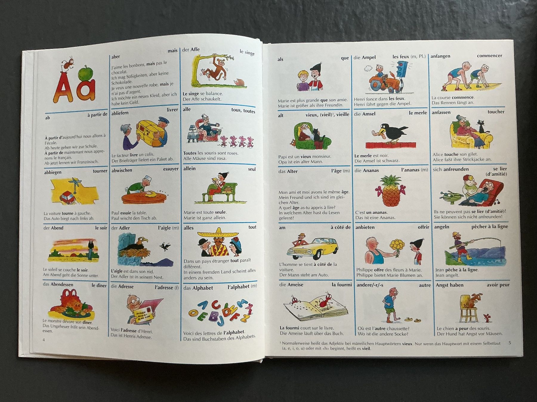 Libri: Französisch von A bis Z – Usato da Niederhasli venduto da ercp4 2