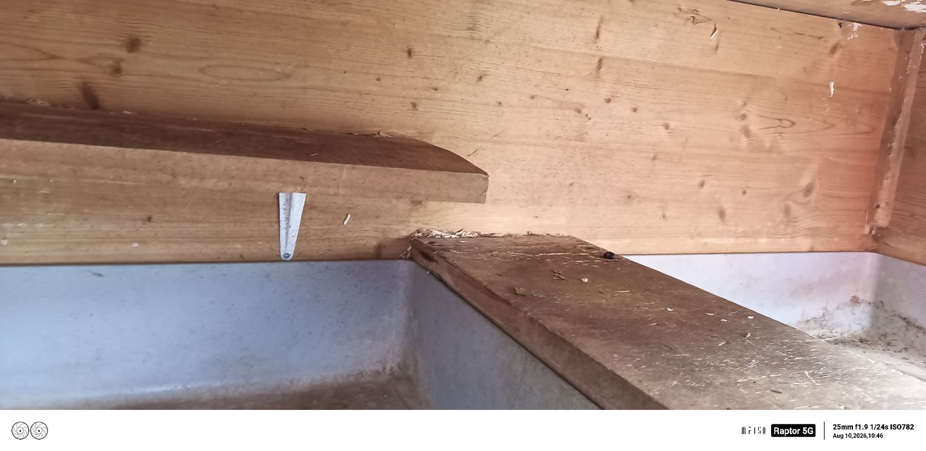 Käfige, Transport & Sicherheit: Kaninchen / Hasen Stall – Gebraucht aus Welschenrohr von Roli226 3