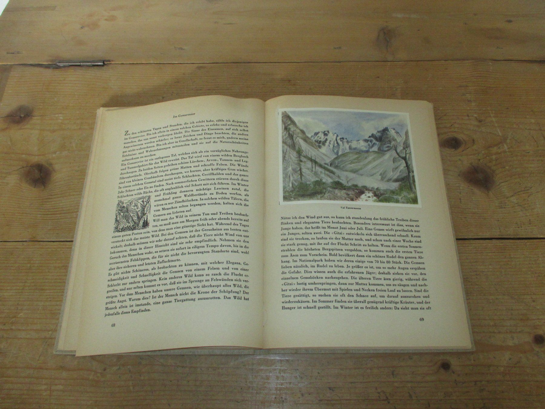 Libri: Der Schweizerische Nationalpark 1949 – Usato da Flims - Dorf venduto da Stagediver 8