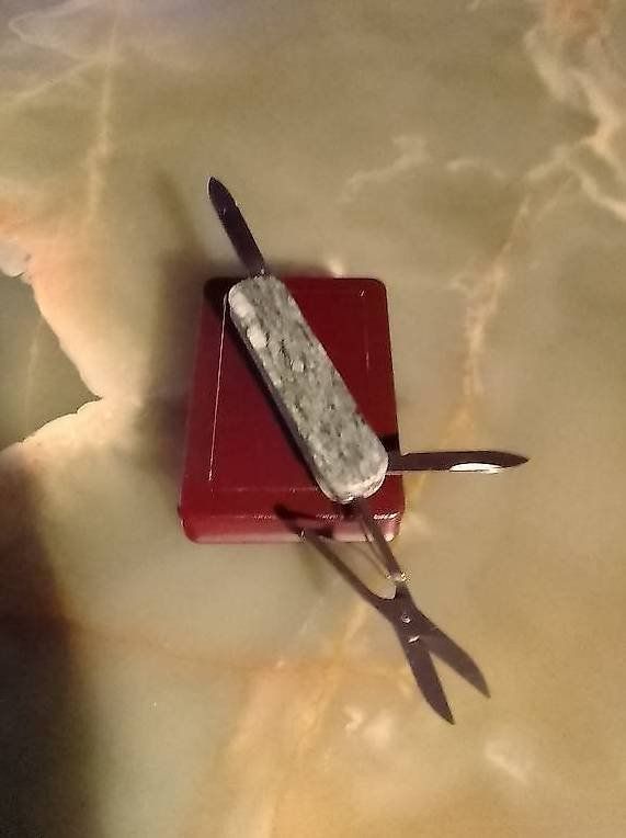 Victorinox Accessori: Couteau Victorinox Andeer Granit – Nuovo e nell'imballaggio originale da Lausanne venduto da bad_fg6d 1