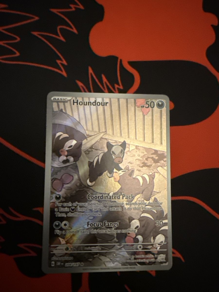 Pokémon Carte collezionabili: Pokemon Karte Houndour 204/197  – Nuovo (secondo la descrizione) da Basel venduto da ari_s727 1