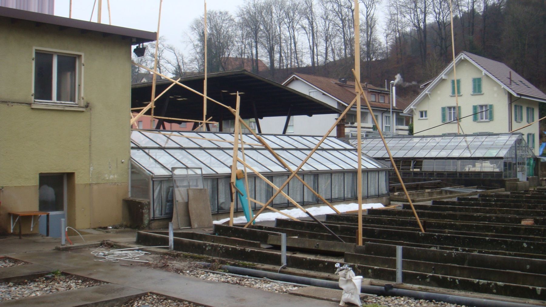 Bicchieri: Treibhaus Kirchhofer 5 x 10 m – Usato da Schangnau venduto da Ananta 1
