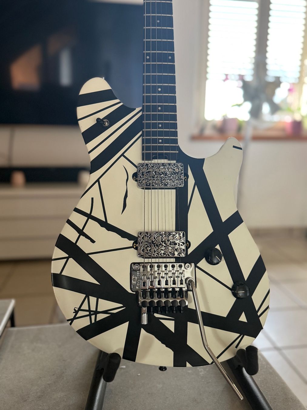 EVH Strumenti musicali: EVH Wolfgang Special MX – Usato da Hünenberg venduto da gipsy2308 2