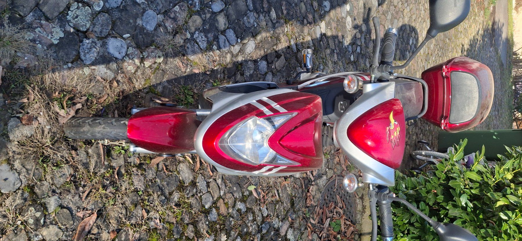 Scooter: E scooter-roller – Difettoso da Kyburg venduto da JBMNT2020 1