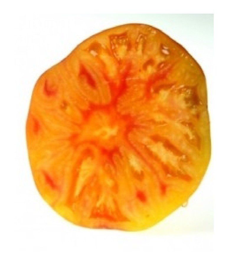 Piante & sementi: Ananas Bio - Fleischtomate - 20 Samen – Nuovo e nell'imballaggio originale da Sumiswald venduto da Cham14559 1
