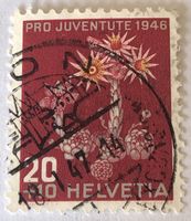 Nr.J119 mit Vollstempel