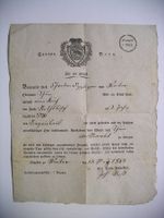 Passierschein / Bauer mit Kuh, 1849 WILER bei Sigriswil THUN