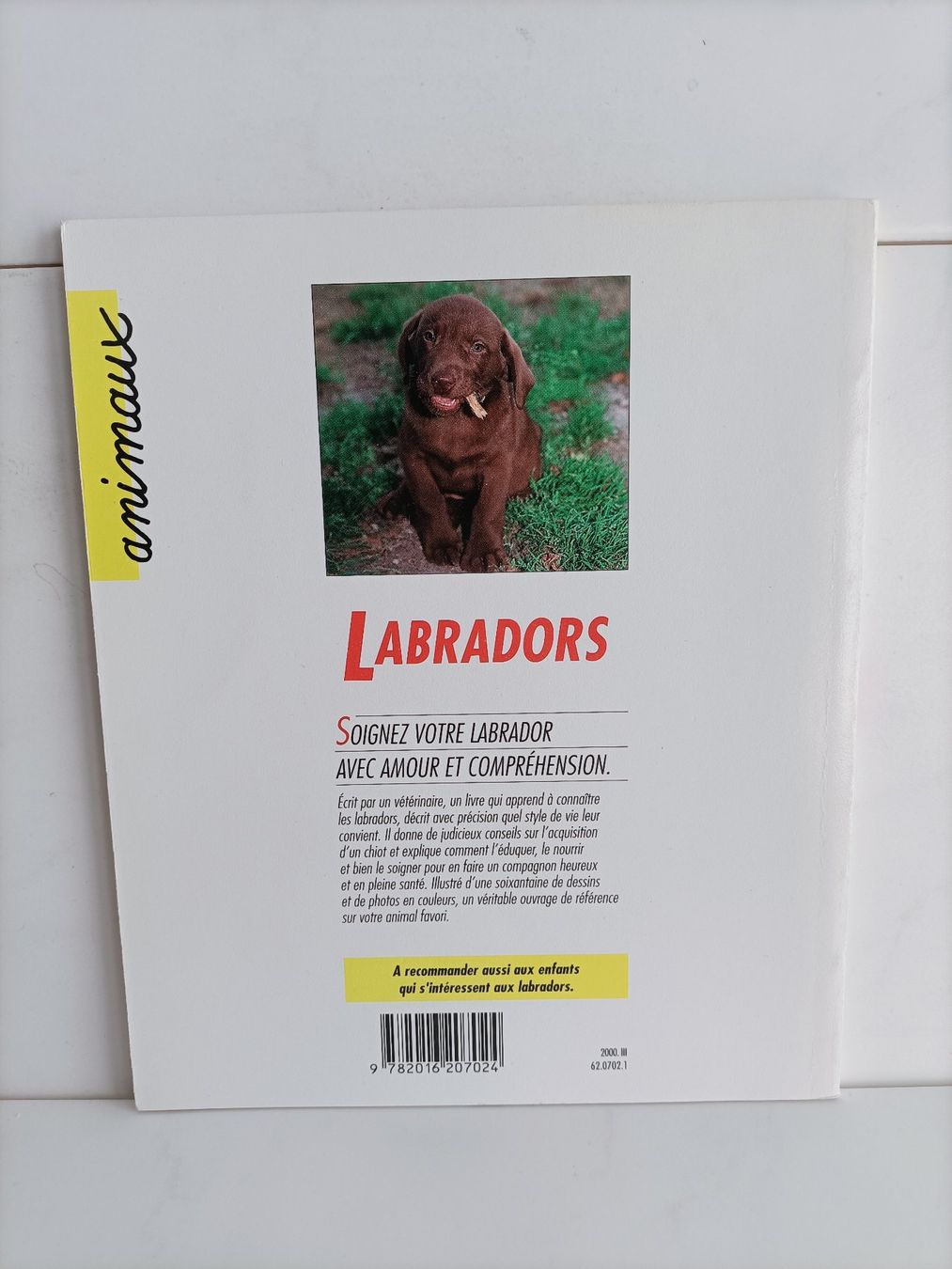 Libri: Labradors / Bruno Tessier / Hachette 1996 – Usato da crans montana venduto da AB3963 1