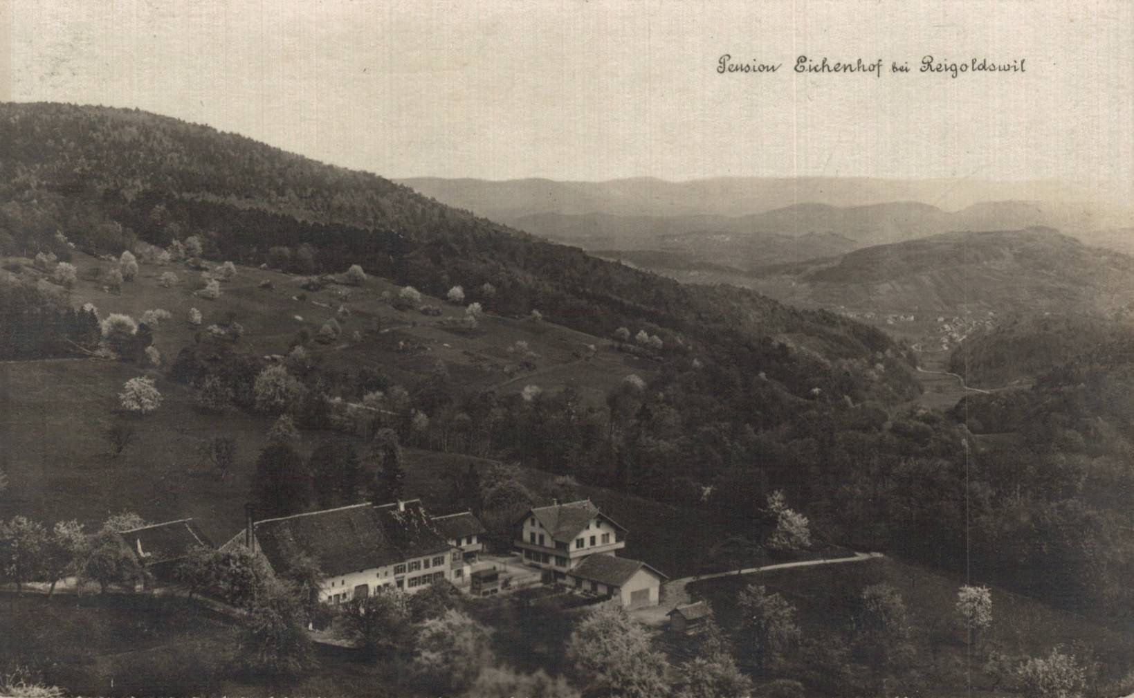 Cartoline postali: Vintage Ansichtskarte Pension Eichenhof Reigoldswil BL 1925 – Usato da Luzern venduto da Kartenansicht