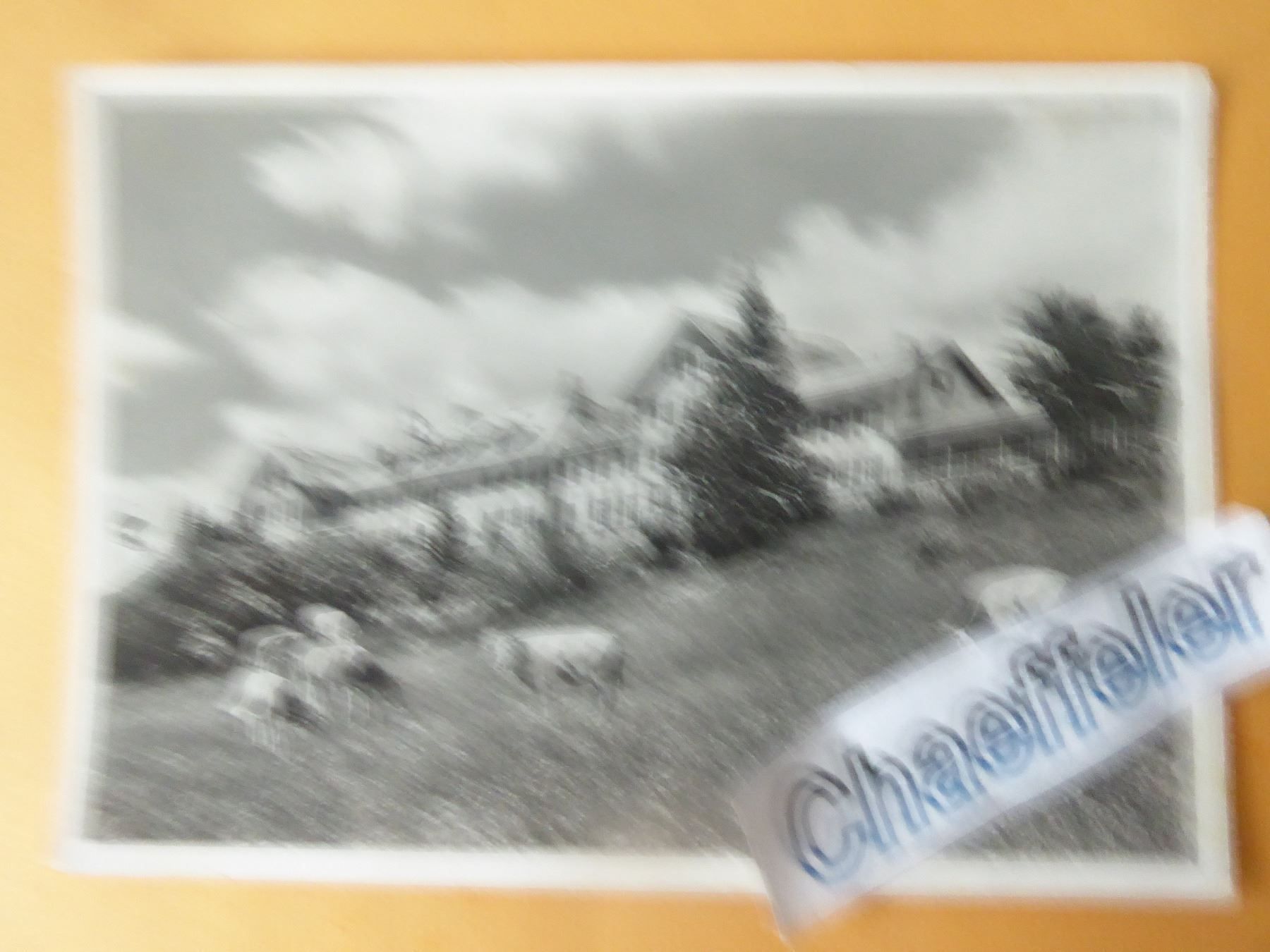 Cartoline postali: 1956 Hotel Kurhaus Weissenstein – Usato da Zürich venduto da Chaeffeler