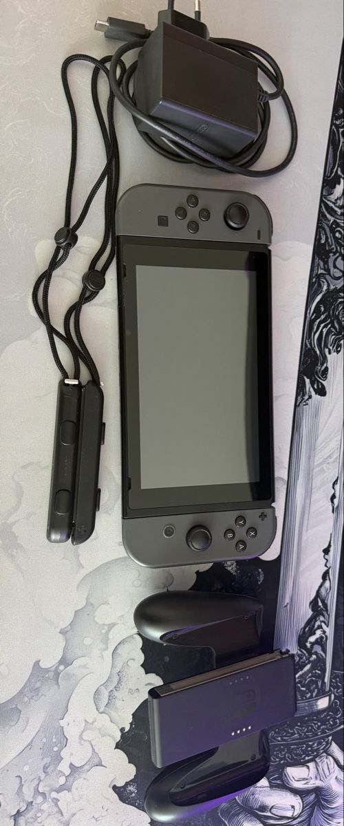 Nintendo Consoles: Nintendo Switch 1 – D'occasion à Chur par Shinsoku