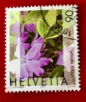 Nr.1074 Gemeines Flora,Immmergrün GESTEMPELT 2003    