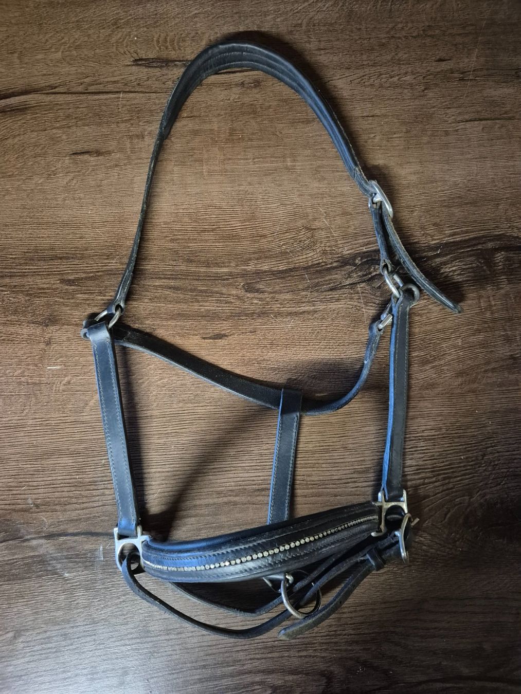 Zaumzeug & Halfter: Showmaster Leder Halfter FULL – Gebraucht aus Meggen von Orrinka20