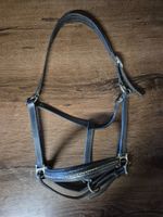 Showmaster Leder Halfter FULL