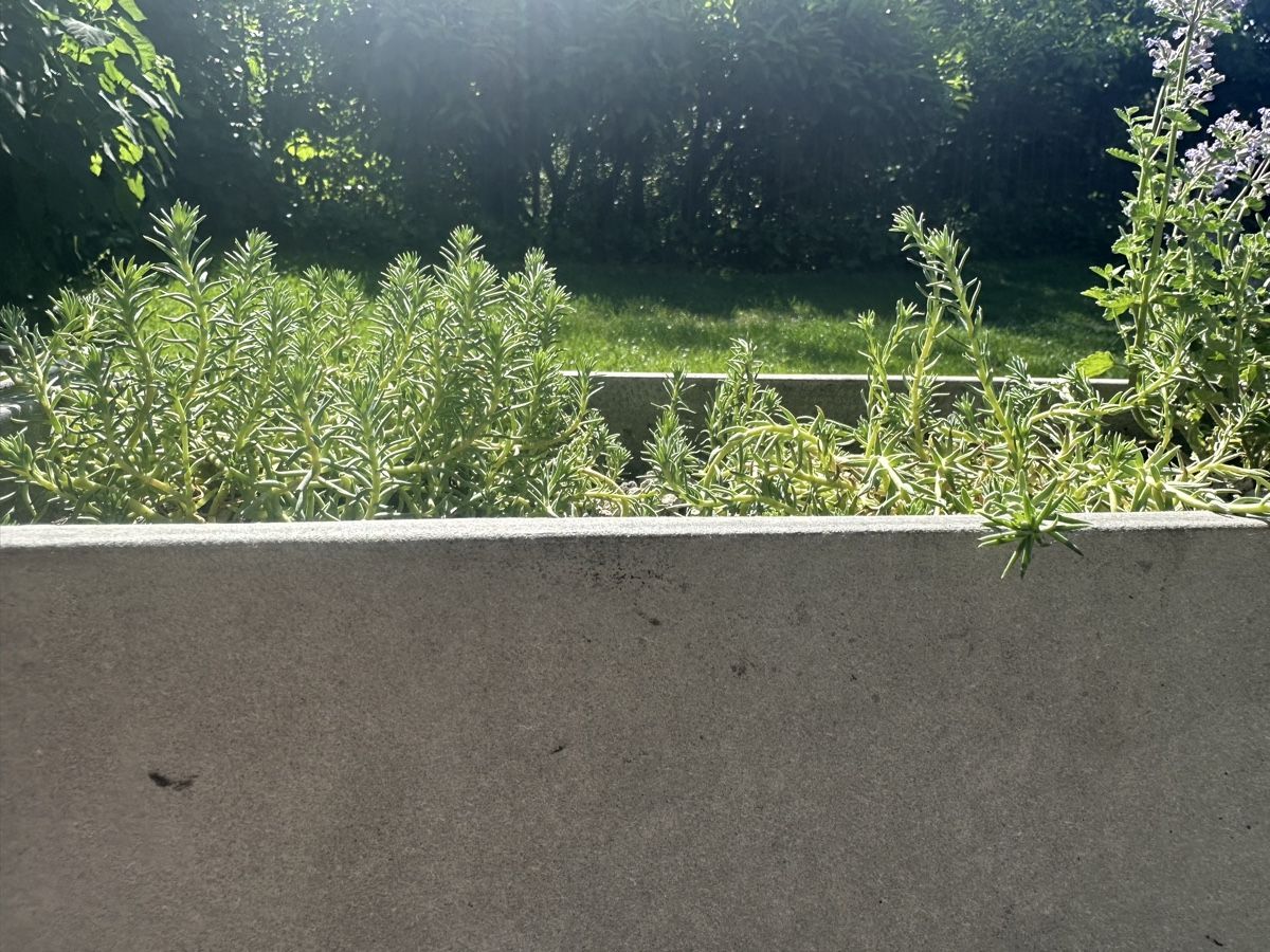 Eternit Vasi per fiori: Eternit Delta  – Usato da Herrenschwanden venduto da Coke_15 2