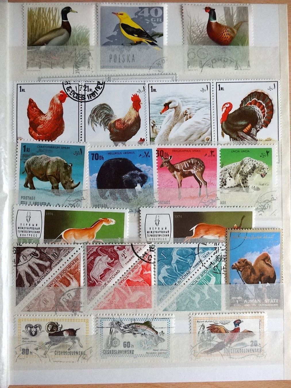 Album: Ganze Briefmarkensammlung – Usato da Scherz venduto da Atopolino 3