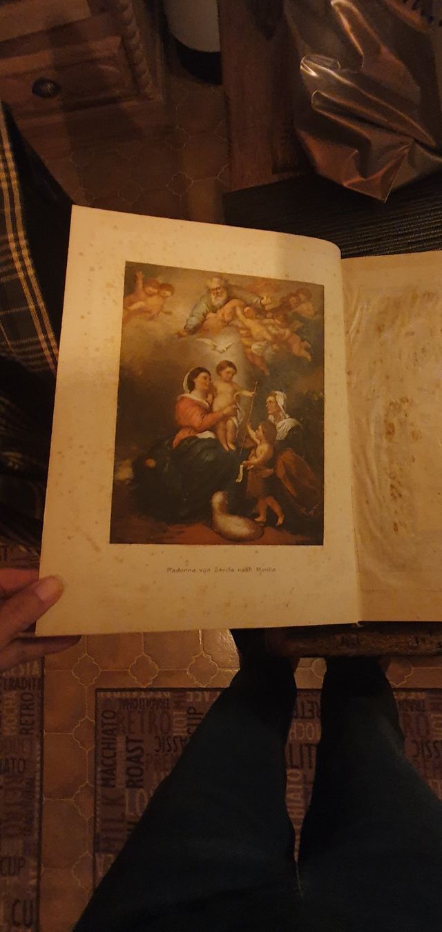 Libri: Buch Das Neue Testament illustriert 1892 – Usato da Baden venduto da Hilda7 1