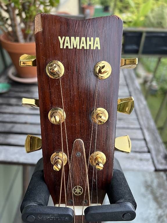 Yamaha Strumenti musicali: Yamaha FG-335 Westerngitarre – Usato da zürich venduto da marcaomm 3