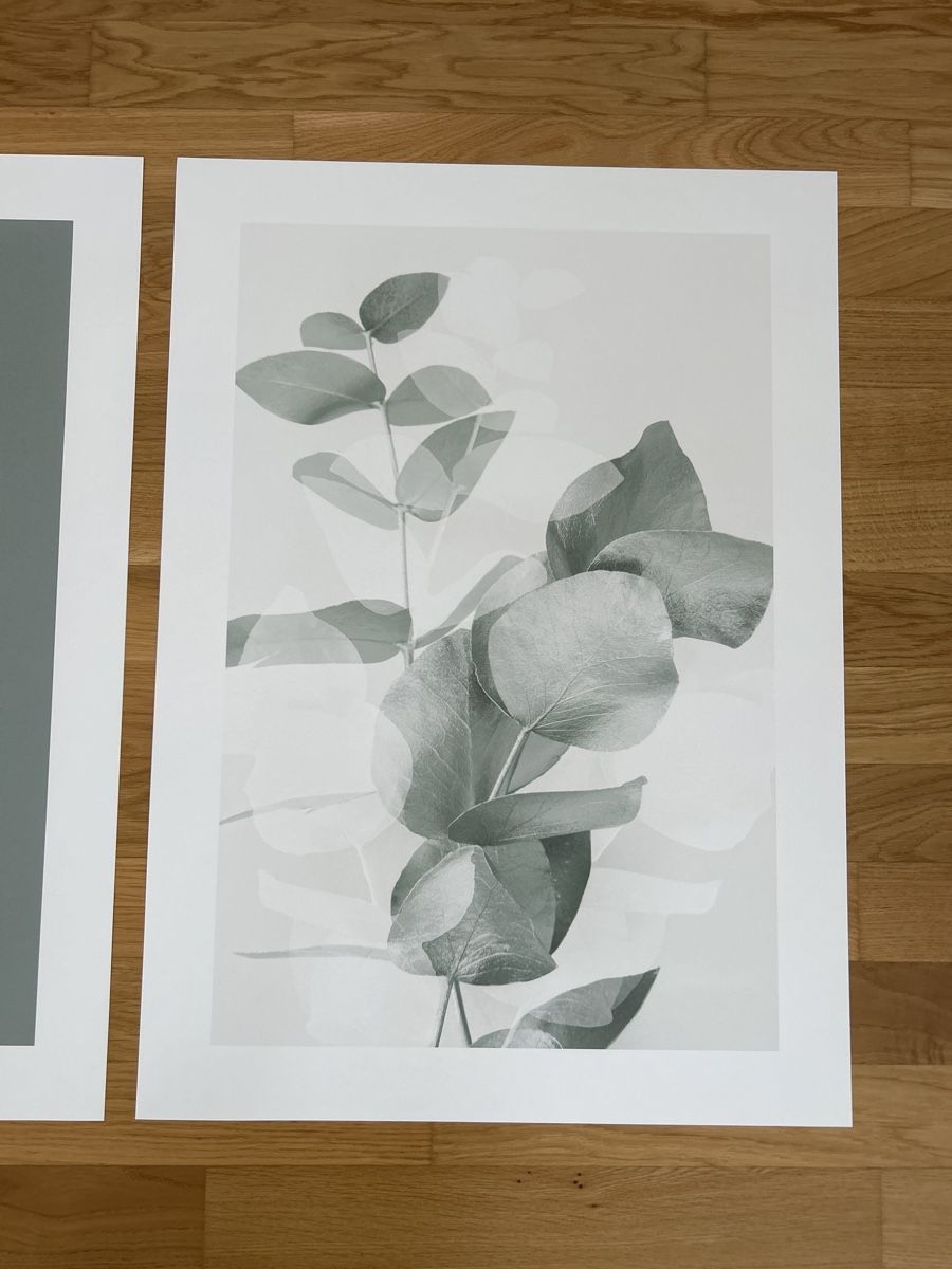 Foto & Immagini: NEU: Poster Set 3-teilig 50 x 70 cm – Nuovo (secondo la descrizione) da Hunzenschwil venduto da happy07201 3