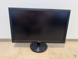 ASUS Monitor 24-Zoll