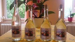 Mirabelle fait maison 75cl.