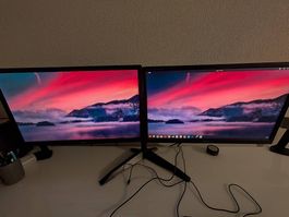 Lot Dual Scite  : 2× iiYama ProLite E2483HS (24") + Support