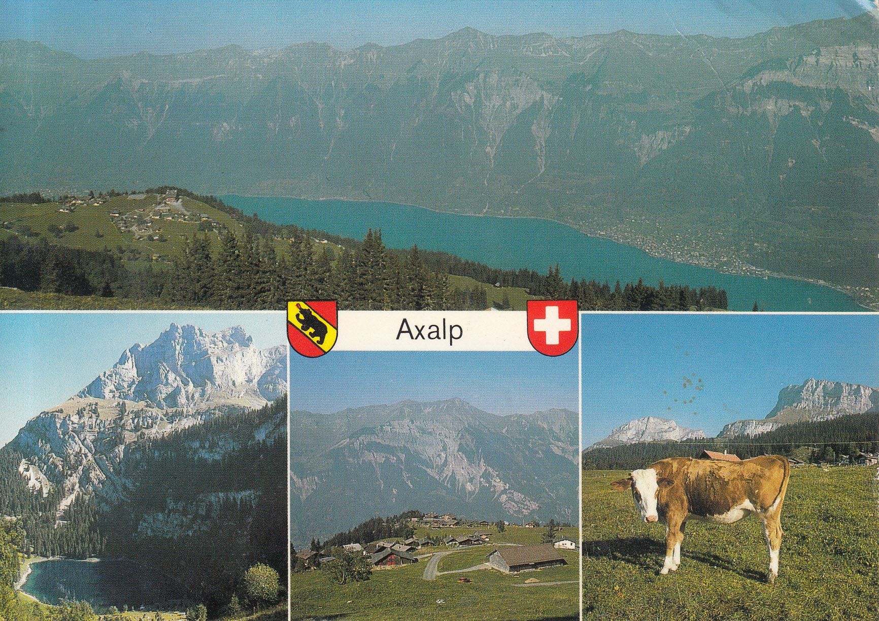 Cartoline postali: Axalp 1996 – Usato da Bürglen TG venduto da StampGraf
