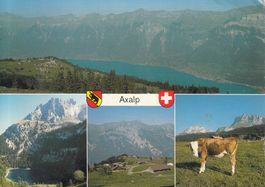 Axalp 1996