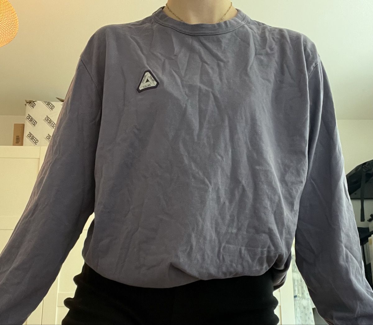 Palace Maglioni & Felpe: Palace Longsleeve – Nuovo (secondo la descrizione) da Bern venduto da lea_wf9x