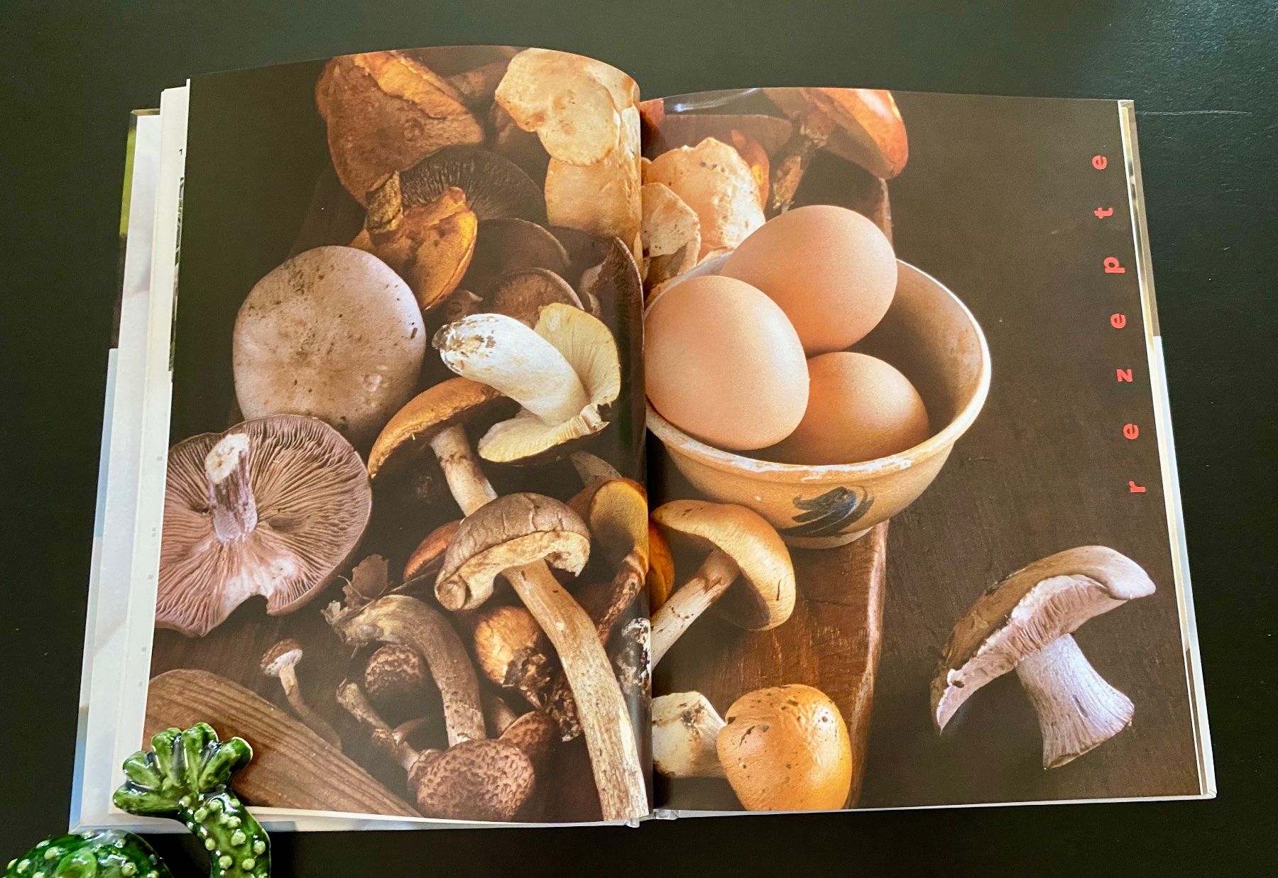 Libri: Kochen mit Zucht- und Waldpilzen – Usato da Nussbaumen AG venduto da schuba2000 2