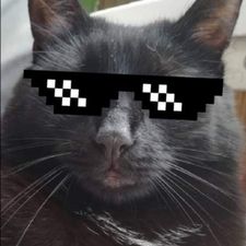 Profile image of Neveren