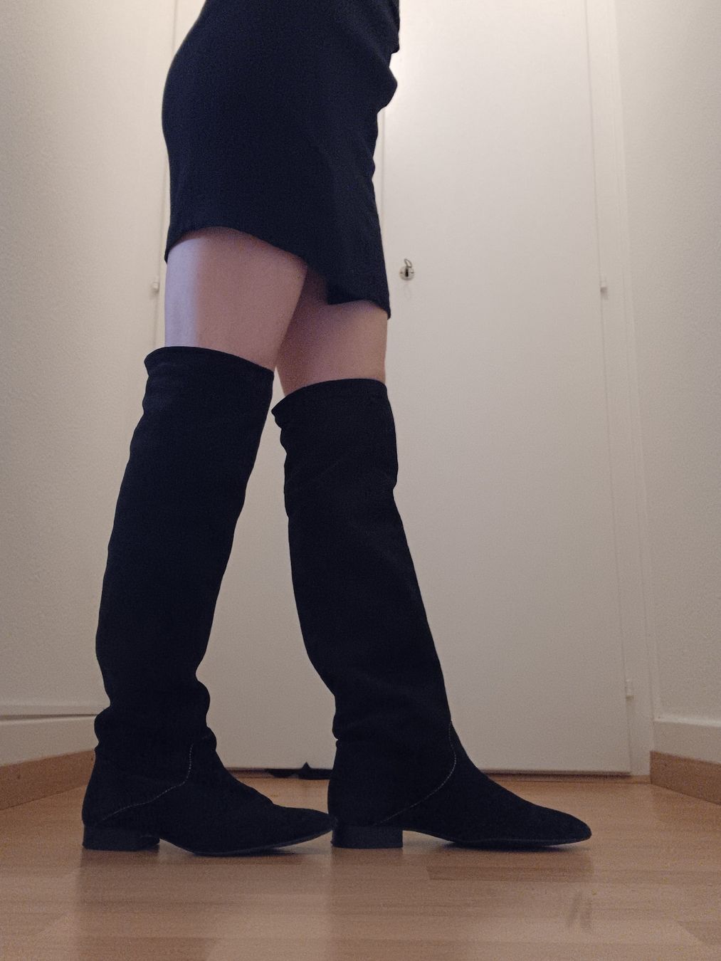 Claudie Pierlot Scarpe da donna: cuissardes en daim Claudie Pierlot – Nuovo (secondo la descrizione) da Vevey venduto da Veveybien
