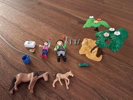 Playmobil Tierarzt mit Pferd und Pony - Set. Nr. 5687