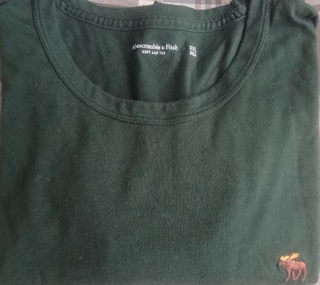 Abercrombie & Fitch XXL soft A&E Green T-Shirt