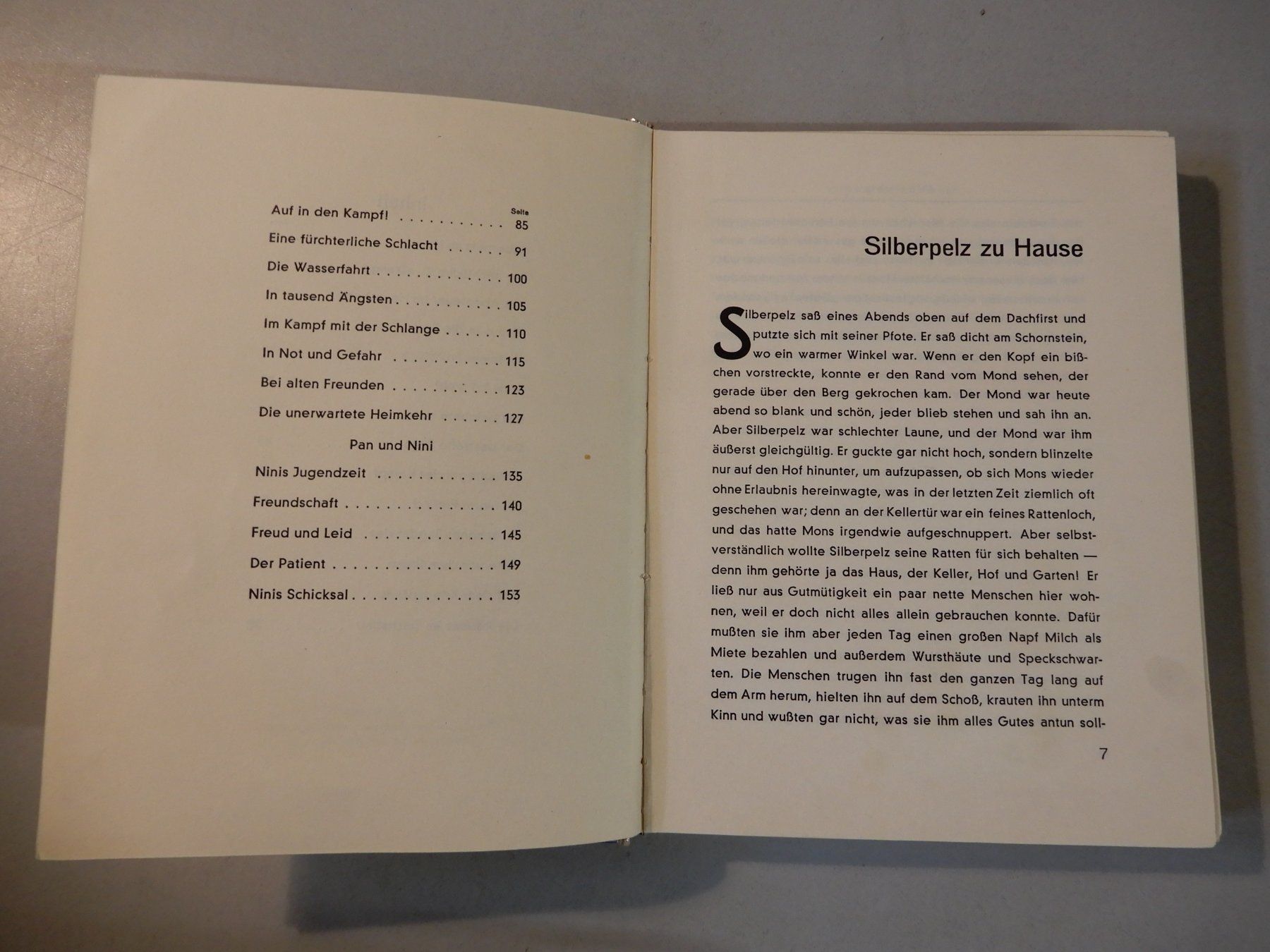 Libri: Silberpelz Abenteuer einer Katze, Gabriel Scott, 2. Auflage – Usato da Erstfeld venduto da Mario_boe0 4