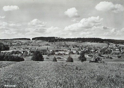 Cartoline postali: RICKENBACH – Nuovo (secondo la descrizione) da Jona venduto da philajona