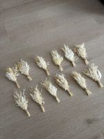 12 kleine Trockenblumen anstecker
