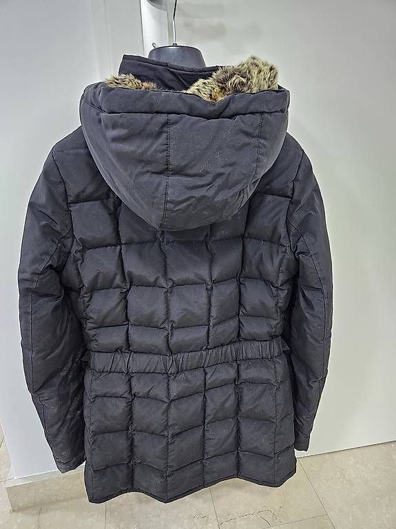 Giacche: Woolrich Jacke XS – Usato da Therwil venduto da cag_jy2h
