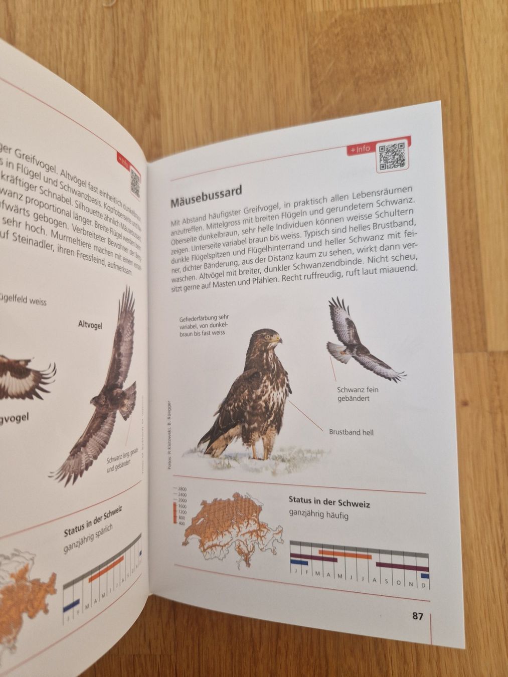 Libri: Neu: Buch Schweizer Vögel – Nuovo (secondo la descrizione) da Buchs Sg venduto da Valedi 2