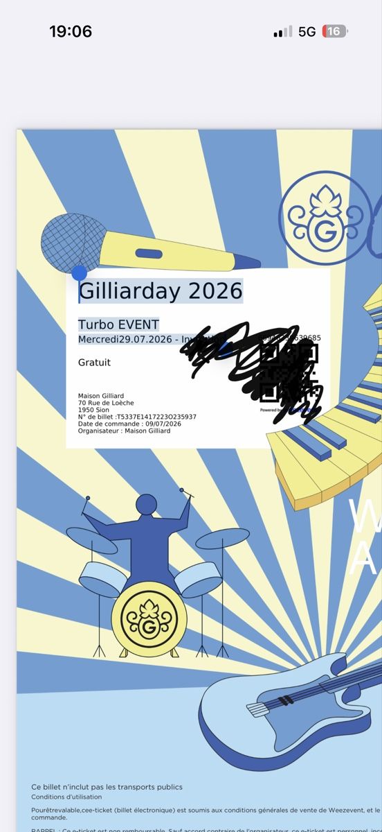 Biglietti: 2 tickets to Gilliarday for 29.07 – Nuovo e nell'imballaggio originale da Pully venduto da vik_2mrb