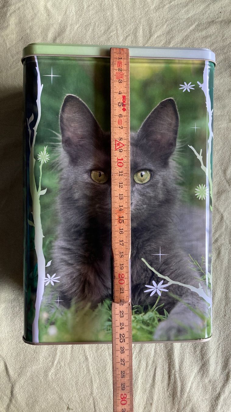 Contenitori & Simili: Royal Canin Katzen Dose – Nuovo (secondo la descrizione) da Zwingen venduto da Hugom 5