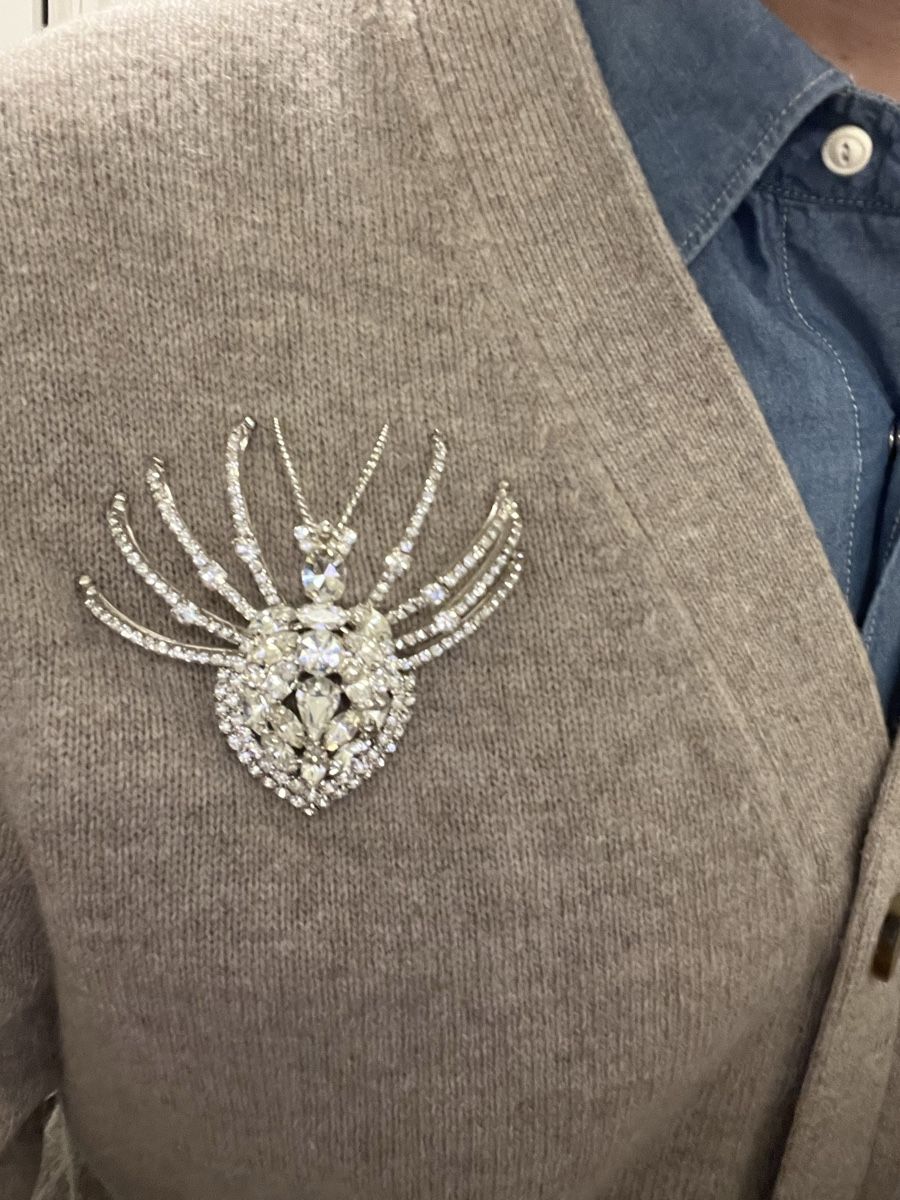 Broschen & Nadeln: Vintage Spider Brooch – Gebraucht aus Zürich von ralph__ 5