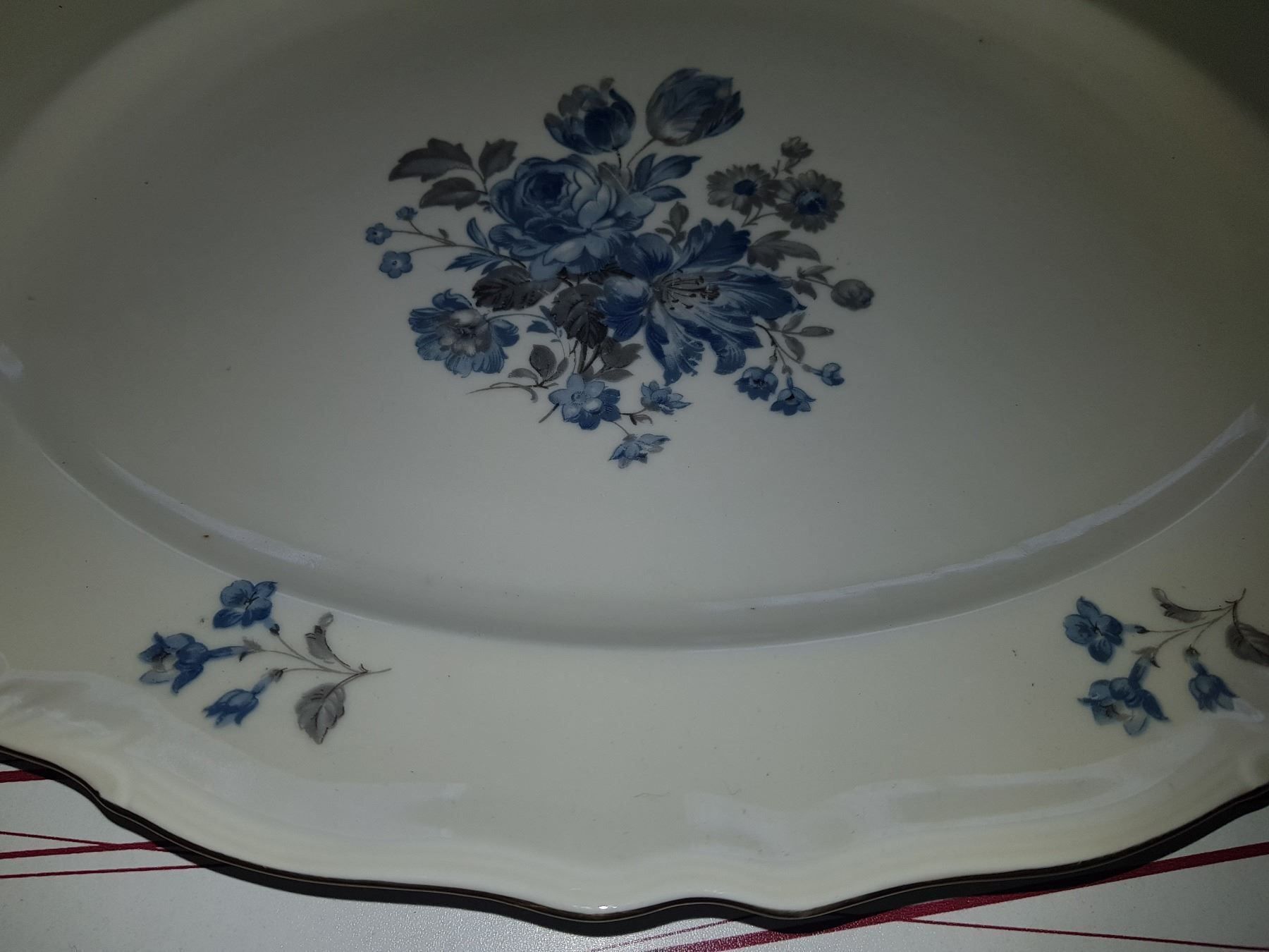 Piatti: Assiette ovale EPIAG CZECHOSLOVAKIA – Usato da Cossonay-ville venduto da Super-Price-Quality 5