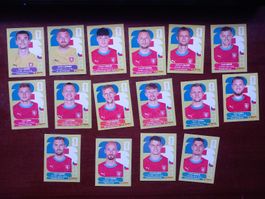 Stickers Panini World Cup 2026 Team CZE