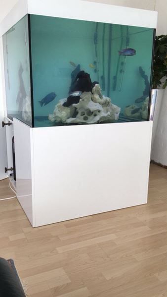 Acquari: 100x100x80 Hochglanz – Nuovo (secondo la descrizione) da Berikon venduto da fischundart 3