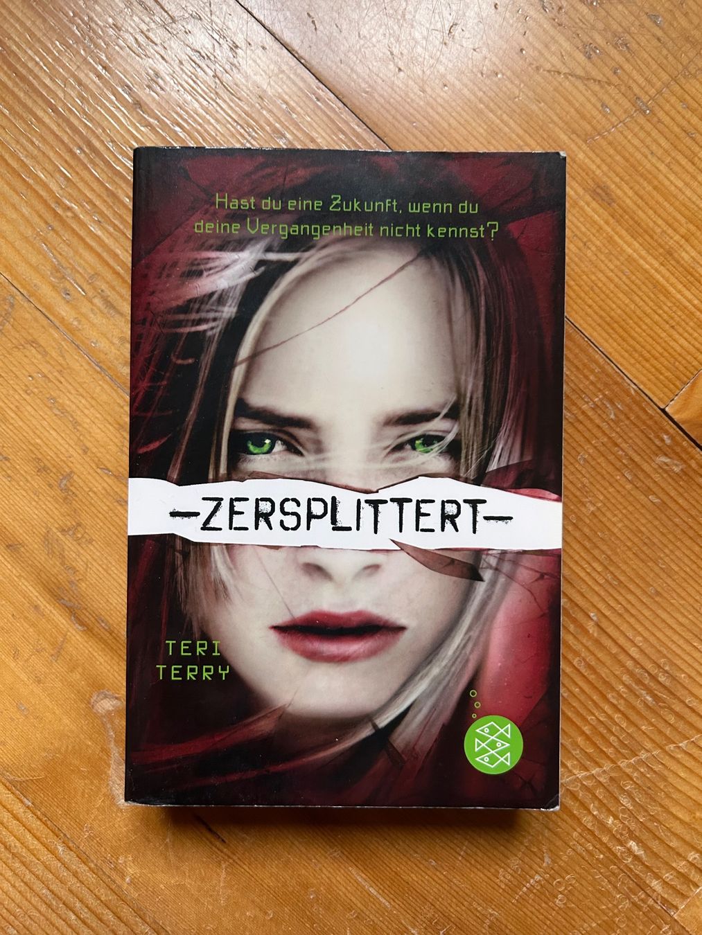 Libri: Teri Terry: -Zersplittert- Jugendbuch Thriller – Usato da Gais venduto da gio_hld6