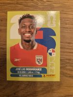 Panini Sticker 2026 PAN 19