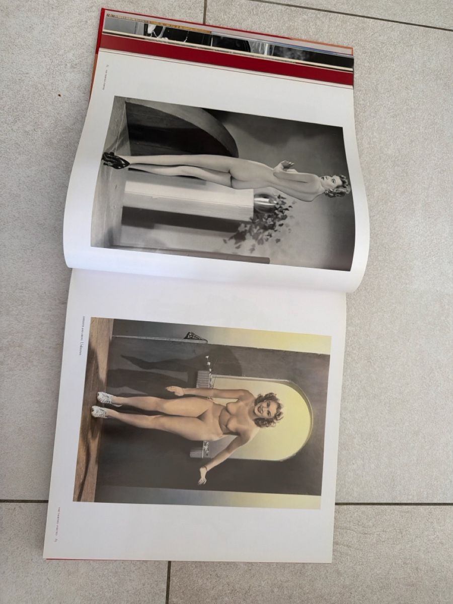 Bücher: Book " Pin-Ups" excellent condition – Gebraucht aus Martigny von Jacoosh1234 5